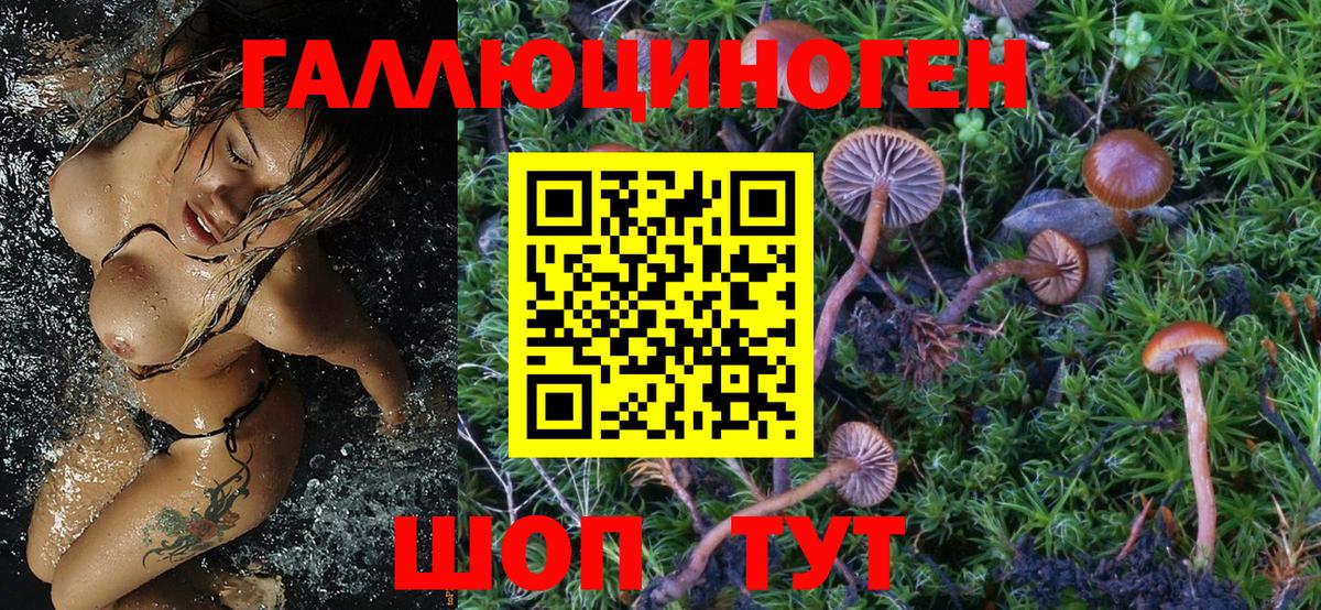 Саранск  Псилоцибиновые грибы MAGIC MUSHROOMS  Вход с VPN 
