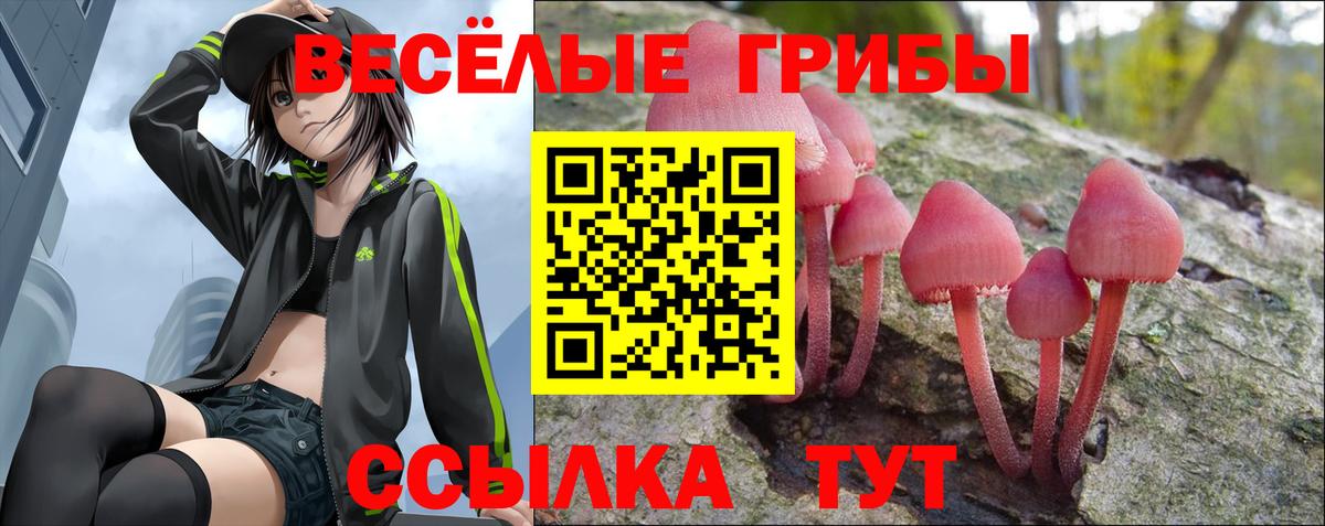 Псилоцибиновые грибы мухоморы Саранск